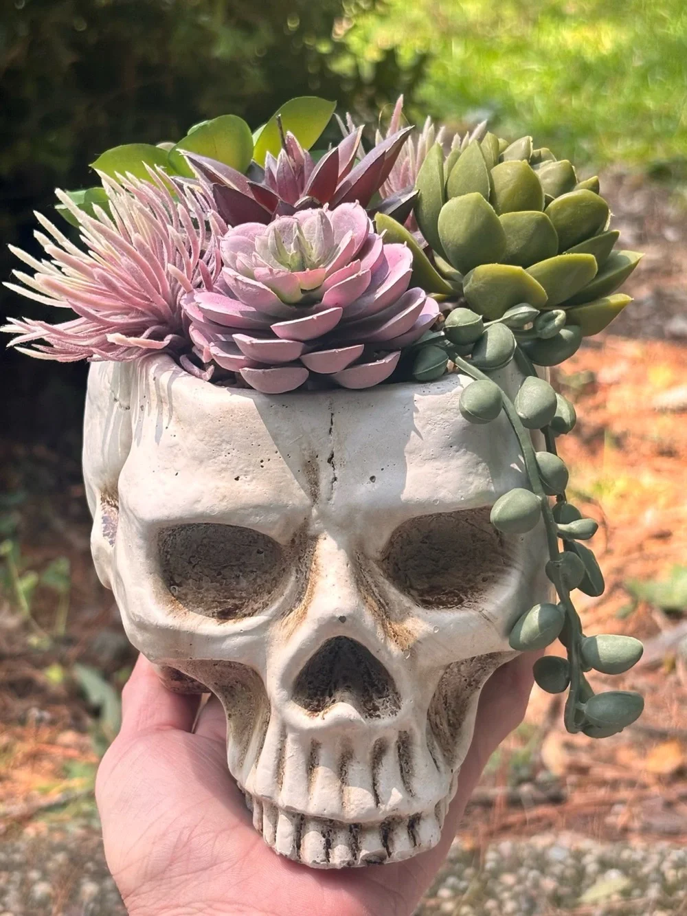 Gothic Skull Planter w/ Faux Succulents